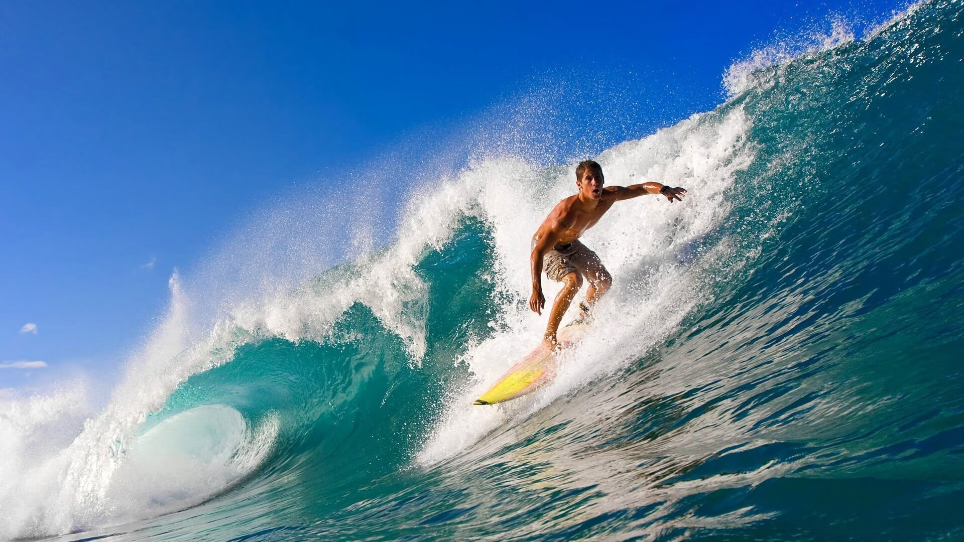 本土教练缺乏团队建设专项训练，人本教练团队建设